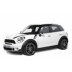 Countryman (R60) 2010-2016