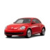 Beetle 2011-