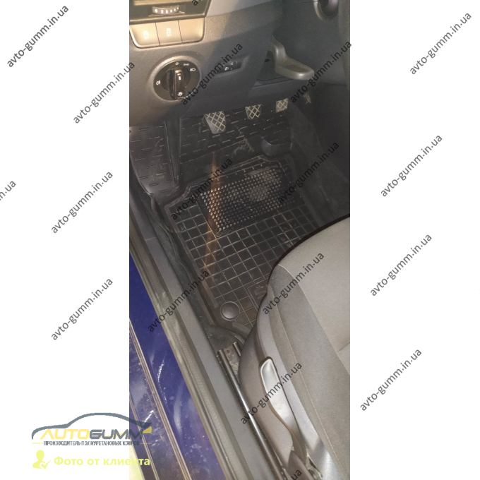 Передні килимки в автомобіль Skoda Fabia 3 2015- (Avto-Gumm)