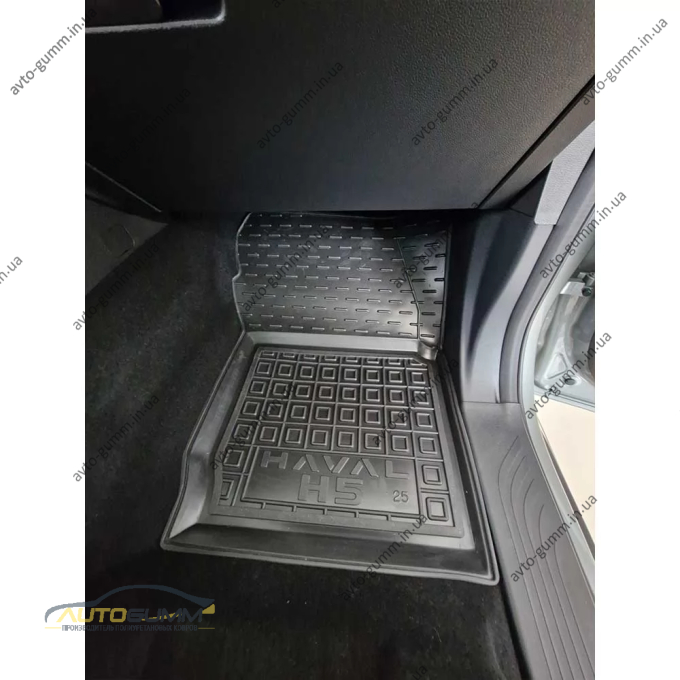 Килимки в салон Haval H5 2024- гумові, чорні (AVTO-Gumm)