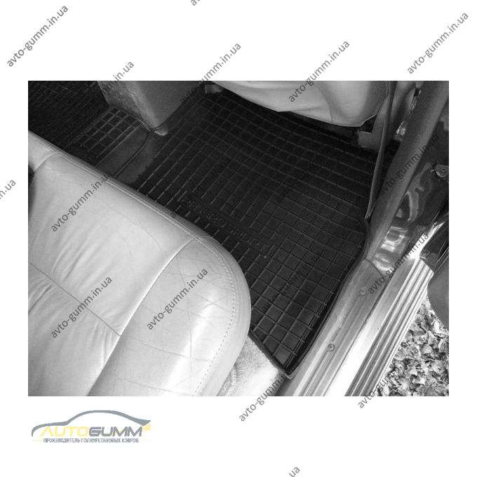 Автомобильные коврики в салон Mitsubishi Pajero Sport 1998-2007 (Avto-Gumm)