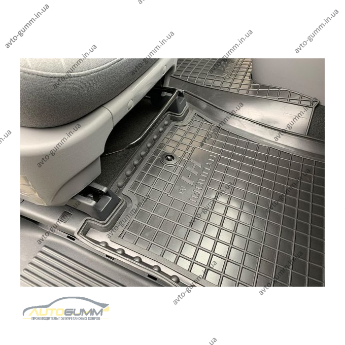 Автомобильные коврики в салон Hyundai H1 2007- передние (Avto-Gumm)