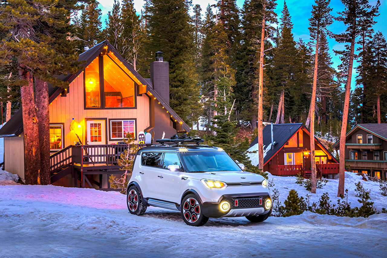 5 простых советов по подбору автоковриков